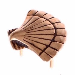 Riemenbeschlag "Pilgermuschel" Bild 2